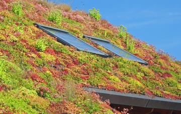 Brigstock living roof systems
